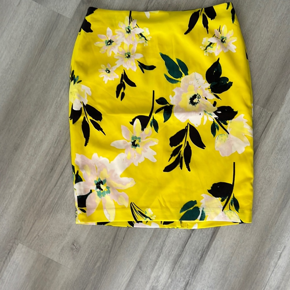 Ann Taylor skirt